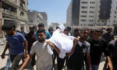  -         56  156 ..
